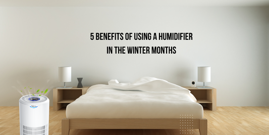 5 Benefits of Using a Humidifier in the Winter Months