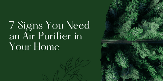 7 Signs You Need an Air Purifier in Your Home