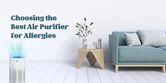 Choosing the Best Air Purifier for Allergies