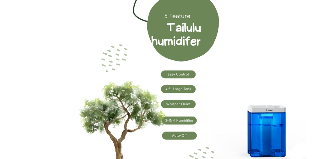 How Does a Humidifier Work? Enhancing Comfort and Health