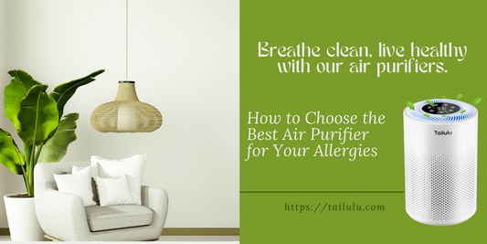 How to Choose the Best Air Purifier for Your Allergies