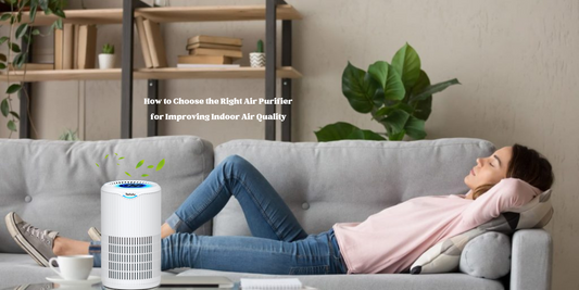 How to Choose the Right Air Purifier for Improving Indoor Air Quality