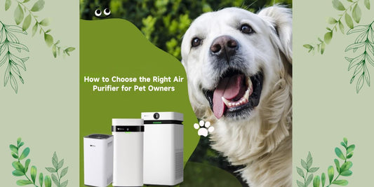 How to Choose the Right Air Purifier for Pet Owners