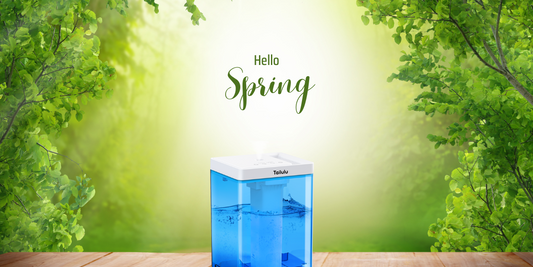 How to Control the Humidity Output of Your Humidifier? Simple Methods and Techniques