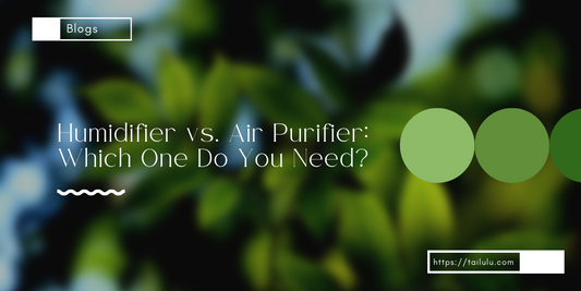 Humidifier vs. Air Purifier Which One Do You Need
