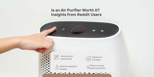 Is an Air Purifier Worth It? Insights from Reddit Users