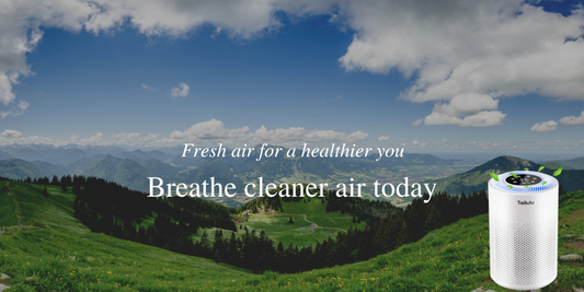 Keep Your Air Purifier Running Smoothly with These Simple Tips