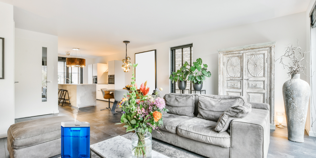 The Benefits of Using a Humidifier for Your Indoor Plants