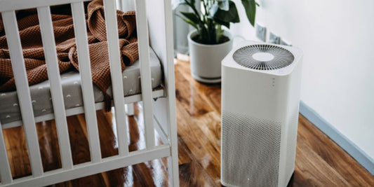 Where Can You Find Affordable and High-Quality Air Purifiers?