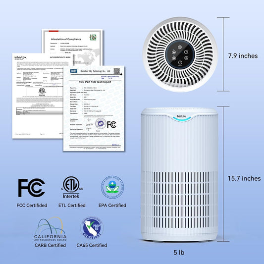 Tailulu Air Purifier | D09