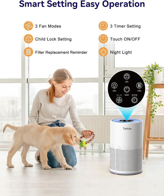 Tailulu Air Purifier | AP050