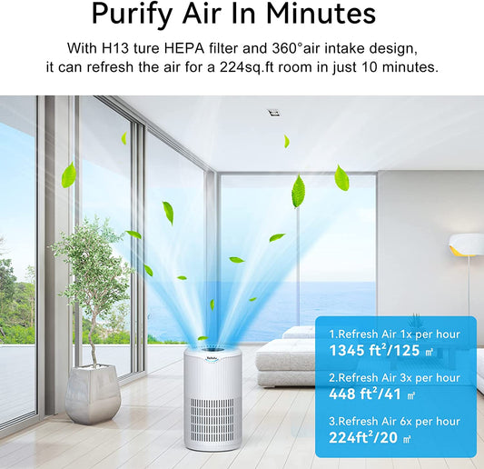 Air Purifiers for Home Large Room, Tailulu D09 H13 True HEPA Air Cleaner Purify Smoke Dust Pollen