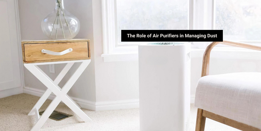 The Role of Air Purifiers in Managing Dust