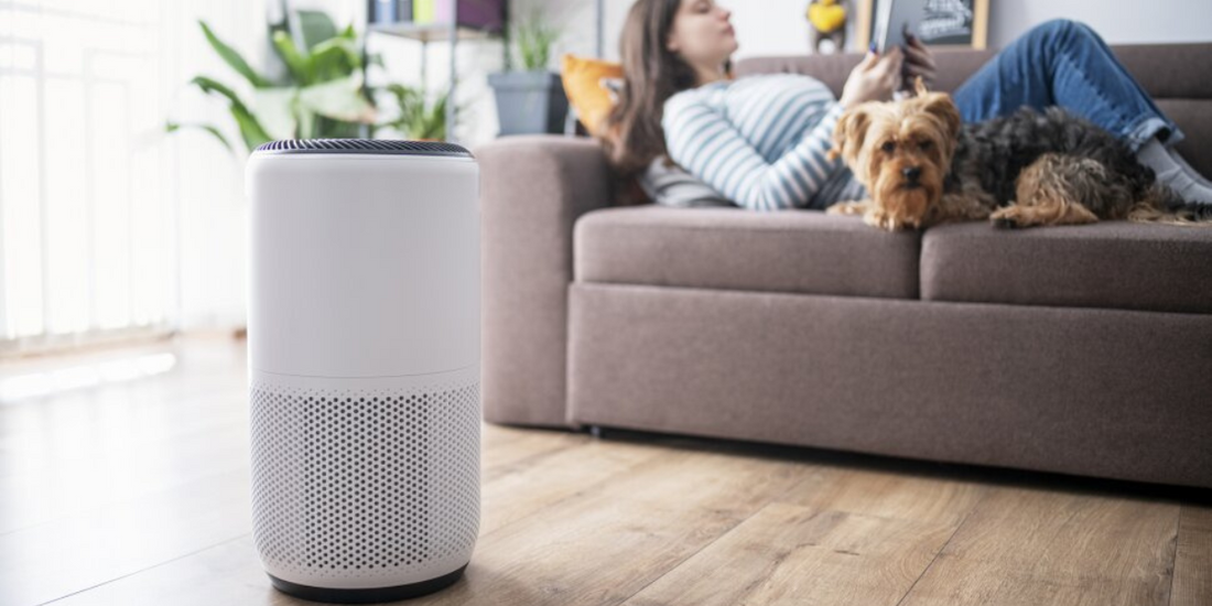 Best photocatalytic air purifier deals