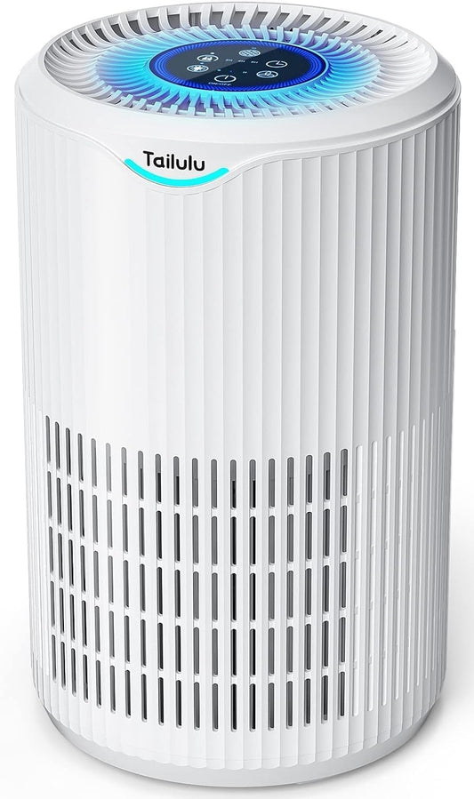 Tailulu Air Purifier | D09