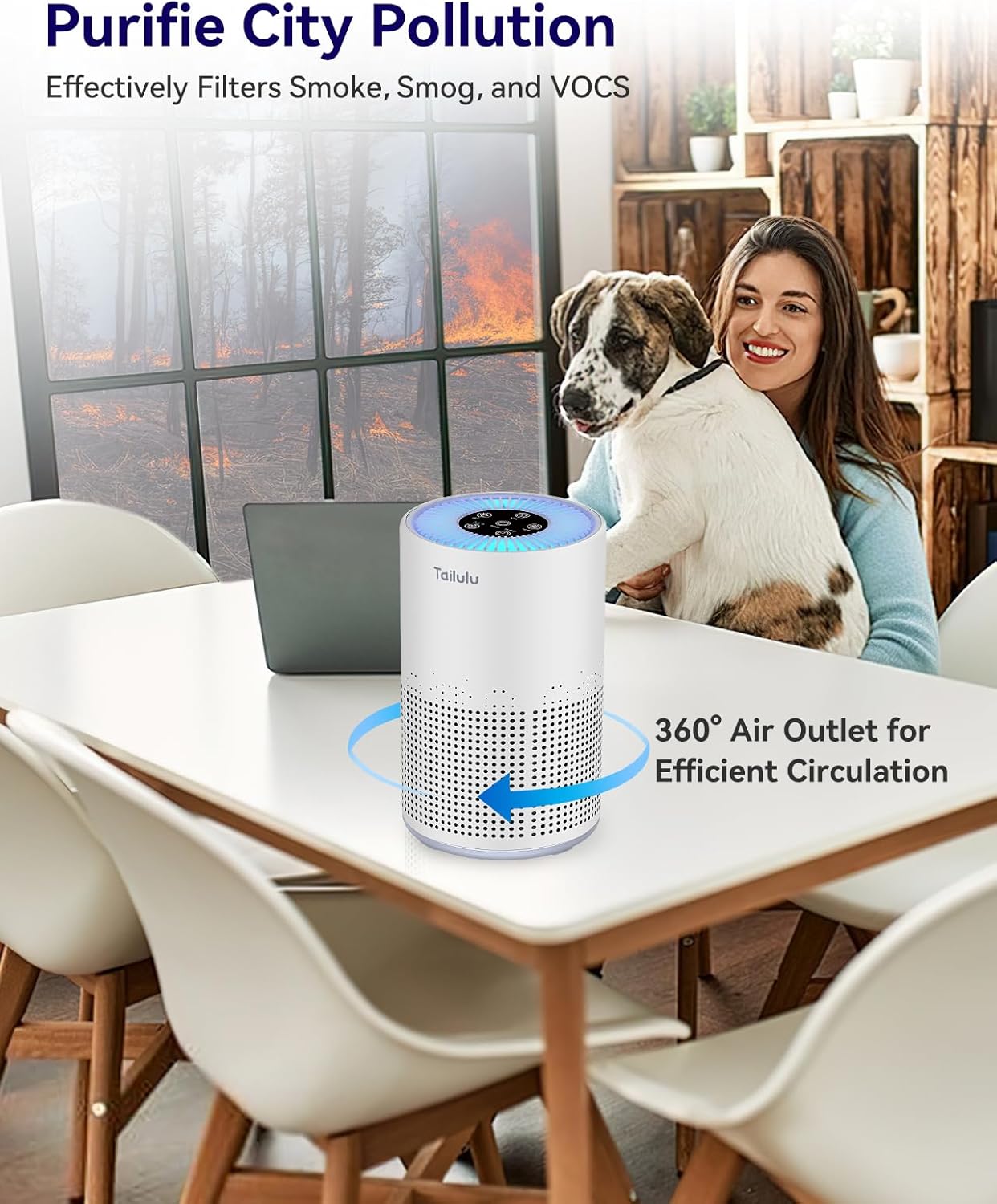 Tailulu Air Purifier | AP050