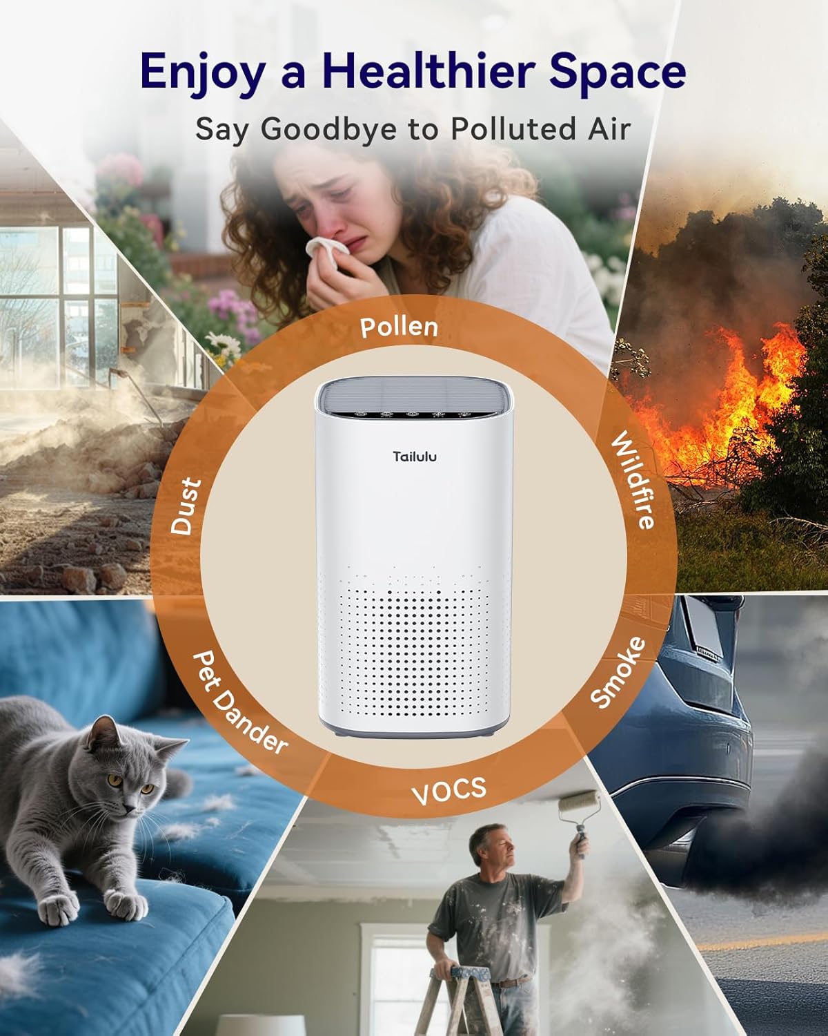 Tailulu Air Purifier | AP100