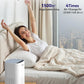 Tailulu Air Purifier | AP100