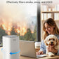Tailulu Air Purifier | AP100