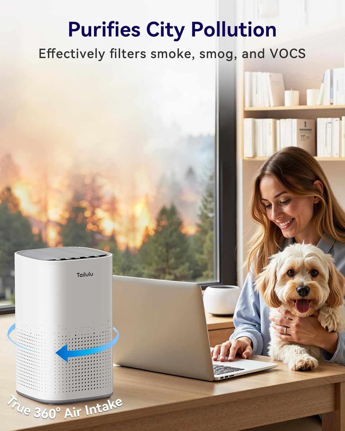 Tailulu Air Purifier | AP100