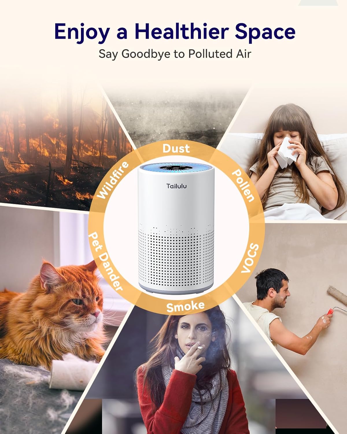 Tailulu Air Purifier | AP050