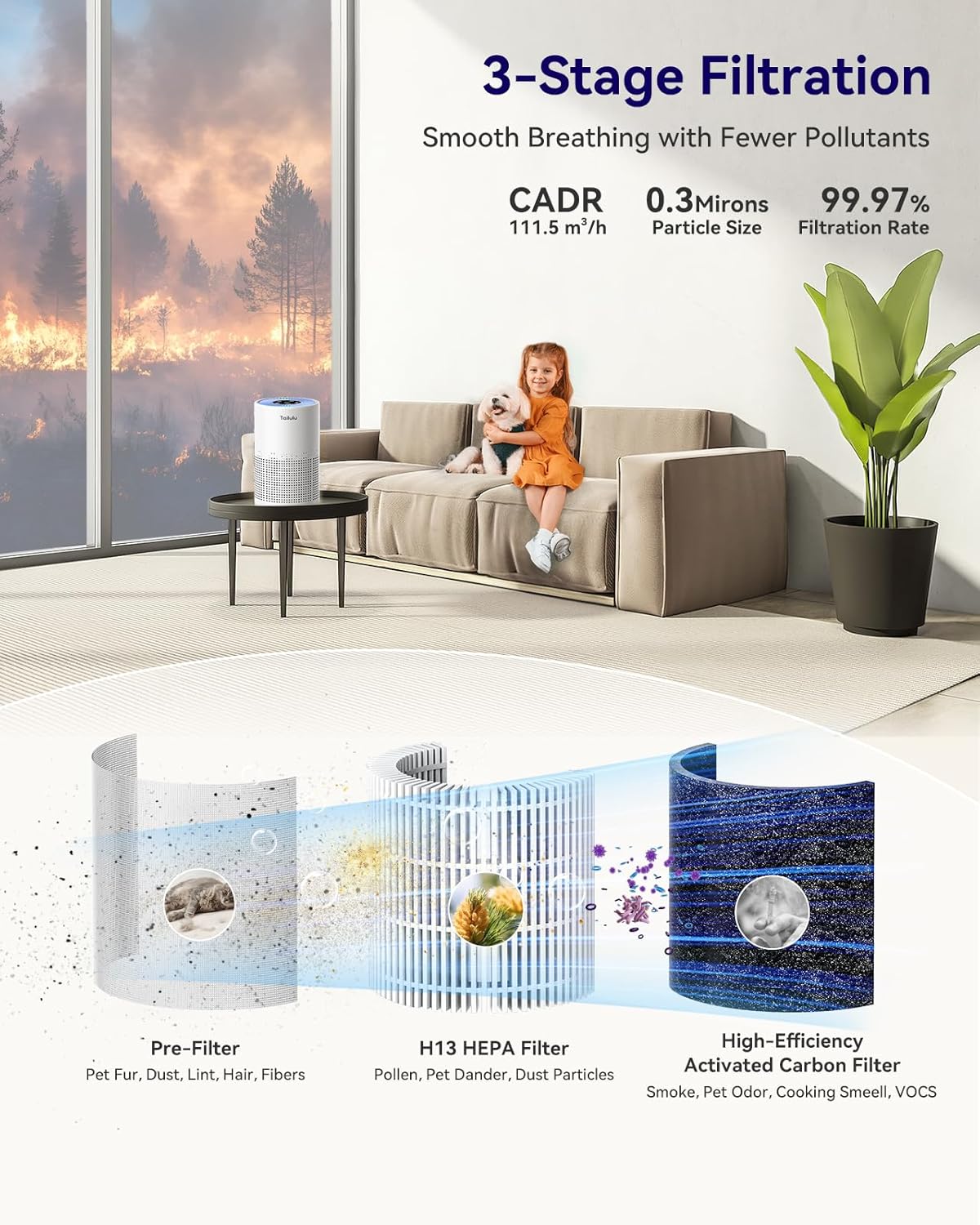 Tailulu Air Purifier | AP050