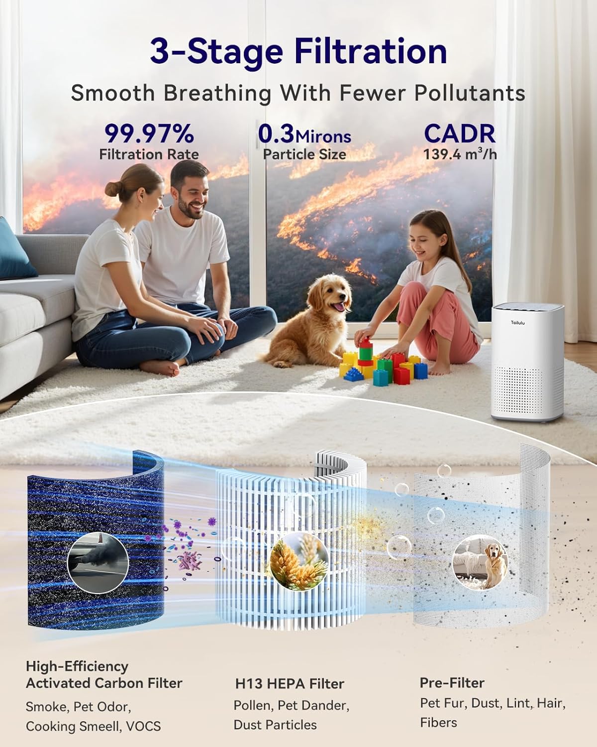 Tailulu Air Purifier | AP100