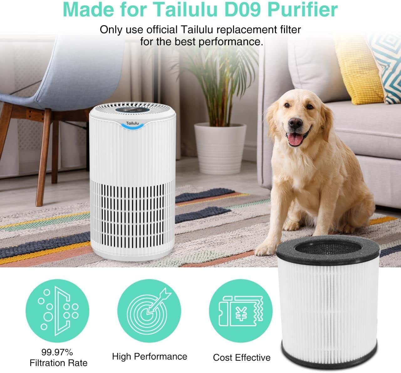 Tailulu Air Filter Replacement | D09