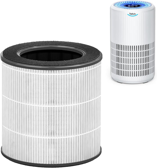 Tailulu Air Filter Replacement | D09