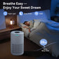 Tailulu Air Purifier | D09