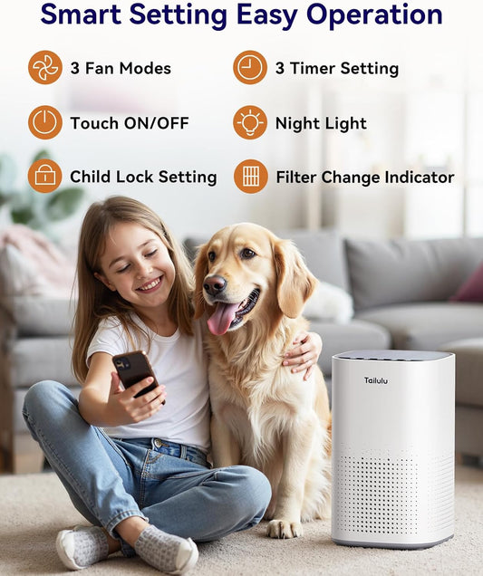 Tailulu Air Purifier | AP100