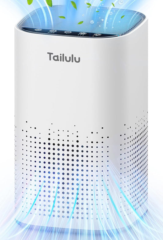 Tailulu Air Purifier | AP100
