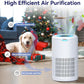 Tailulu Air Purifier | D09