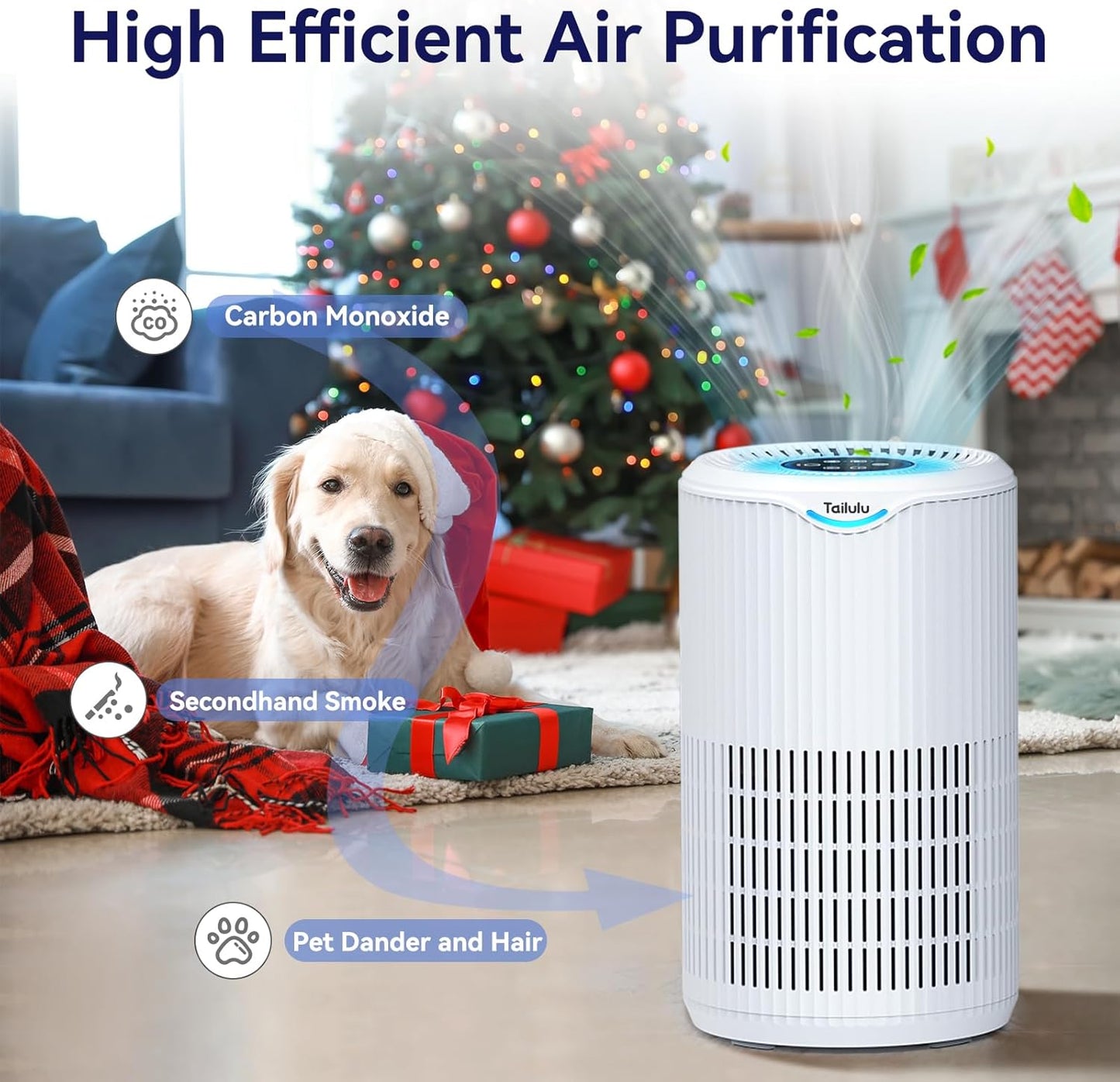 Tailulu Air Purifier | D09